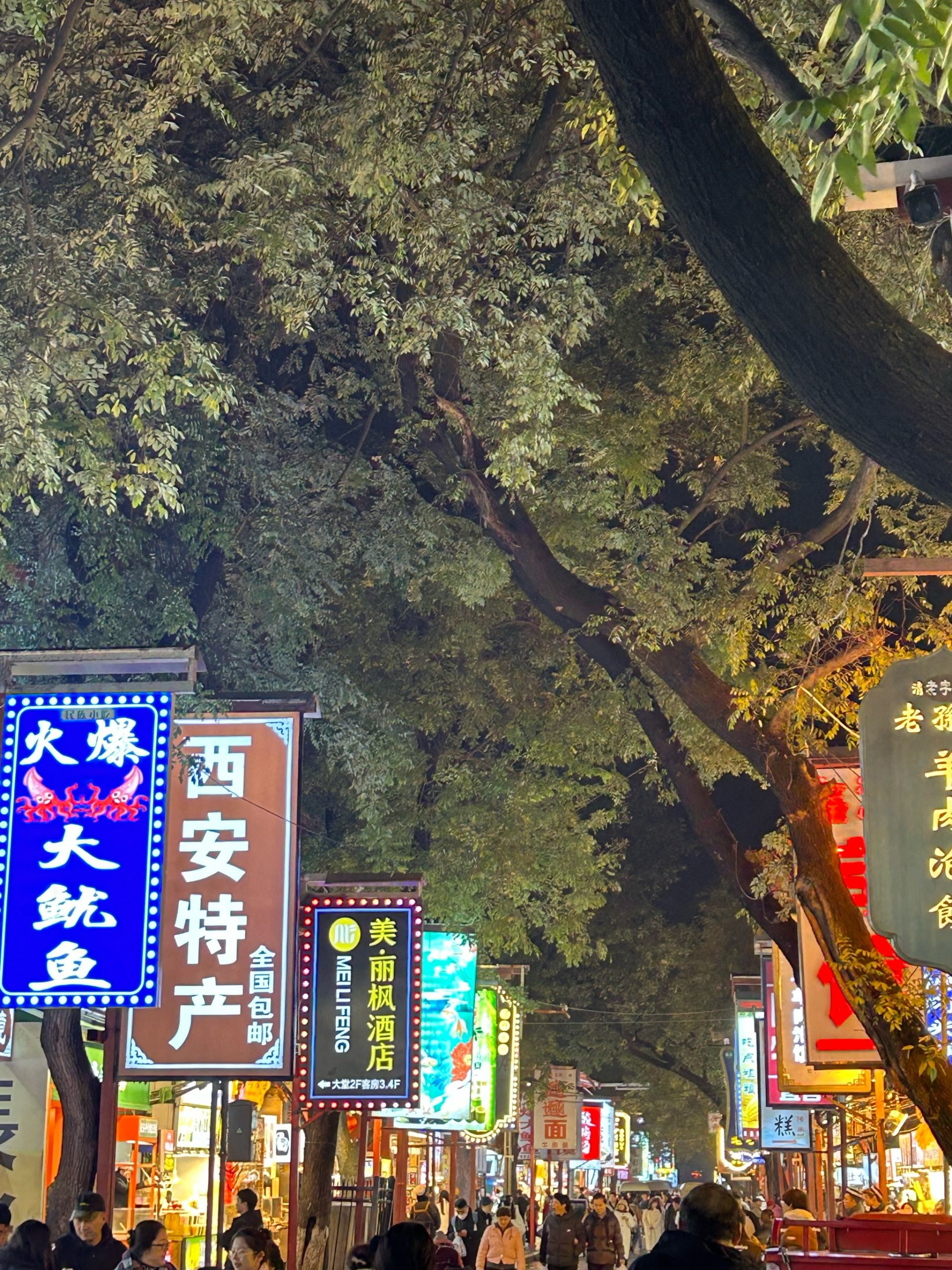 %title插图%num西安夜生活网